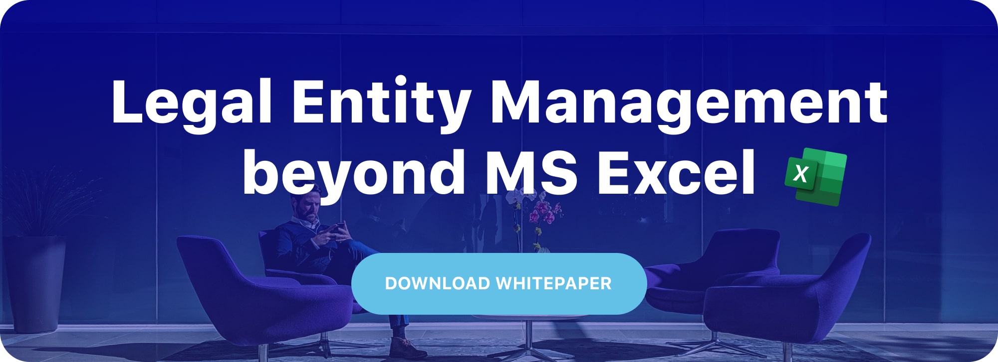 Legal Entity Management beyond MS Excel