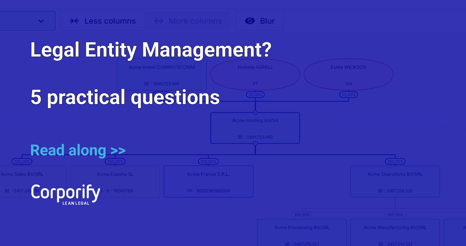 How do you manage group entities? Do you need a Legal Entity Management Platform?